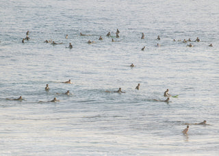 Paddling Out