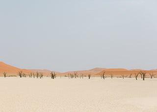 Deadvlei Wilderness